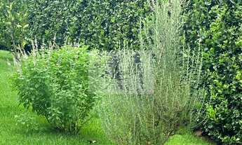 Imagem 5: Casa à venda no Vale dos Cristais - Nova Lima/MG. Sendo 1.200 m2 área Total de lote e 750