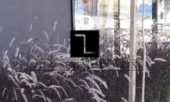 Imagem 5: Apartamento novo para locação no Estoril com 2 quartos com piso em laminado, sento 1 suíte