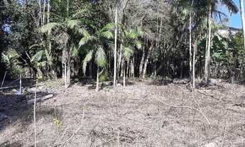 Imagem: TERRENO COMERCIAL em JARAGUÁ DO SUL - SC