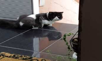 Imagem 4: APARTAMENTO I 48M² I 02 DORM. I 01 VAGA (PONTO COMERCIAL) I R$ 190.800,00 I CONJUNTO JOSÉ