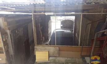 Imagem 3: CASA I 360M² I 2 DORMITÓRIOS I 01 VAGA I 01 BANHEIRO I R$ 480.000,00 I PRÓXIMO A ESTAÇÃO D