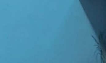 Imagem 7: SOBRADO I 148M² I 3 DORMITÓRIOS I 3 BANHEIROS I SALA I 1 VAGA DE GARAGEM I R$350.000,00 I