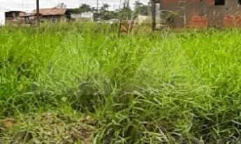Imagem: TERRENO À VENDA COM 450m², R$270.000,00