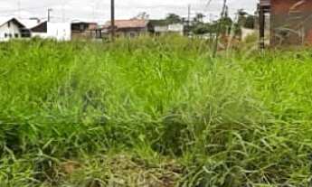 Imagem 2: TERRENO À VENDA COM 450m², R$270.000,00, BAIRRO QUINTA DOS AÇORIANOS, BARRA VELHA, SANTA C