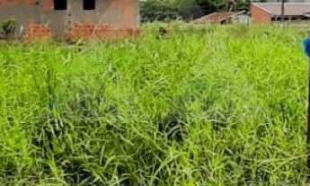 Imagem: TERRENO À VENDA COM 990m², R$590.000,00