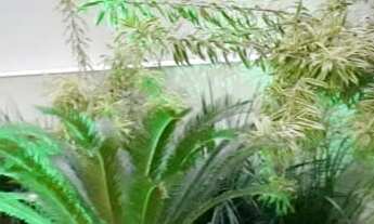 Imagem 4: APARTAMENTO RESIDENCIAL em VITÓRIA - ES, MATA DA PRAIA