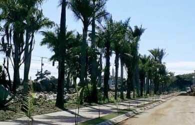 Imagem 7: TERRENO COMERCIAL em SERRA - ES, MANGUINHOS