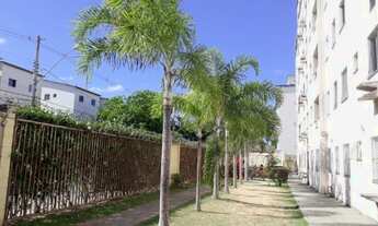 Imagem 4: APARTAMENTO RESIDENCIAL em SERRA - ES, JARDIM LIMOEIRO