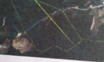 Imagem 3: AREA RURAL em MELGAÇO - ES, MELGAÇO