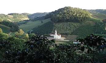 Imagem 7: AREA RURAL em MELGAÇO - ES, MELGAÇO