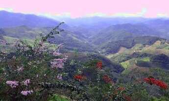 Imagem 6: CHACARA RURAL em Domingos Martins - ES, Vista Linda