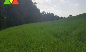 Imagem 2: FAZENDA RURAL em LAPA - PR, VISTA ALEGRE