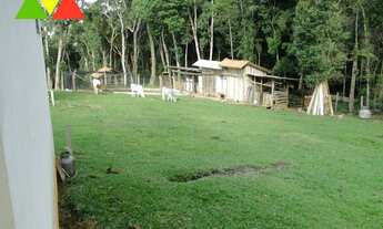 Imagem 7: CHAÇARA EM ARAUCÁRIA
