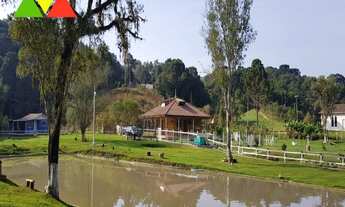 Imagem 3: CHÁCARA EM CAI DE BAIXO