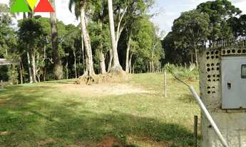 Imagem 5: CHAÇARA EM ARAUCÁRIA