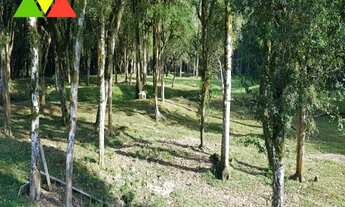 Imagem 7: CHÁCARA EM CAI DE BAIXO