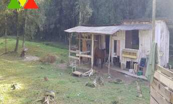 Imagem 4: CHÁCARA EM CAI DE BAIXO