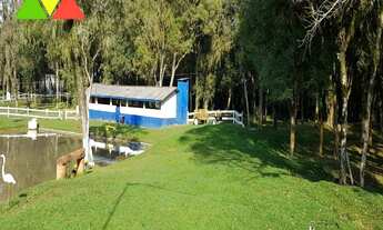 Imagem 1: CHÁCARA EM CAI DE BAIXO