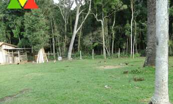 Imagem 6: CHAÇARA EM ARAUCÁRIA