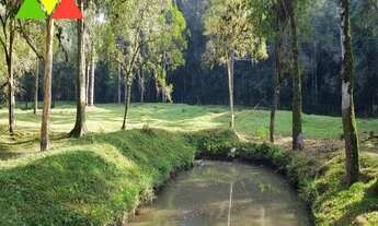 Imagem 6: CHÁCARA EM CAI DE BAIXO