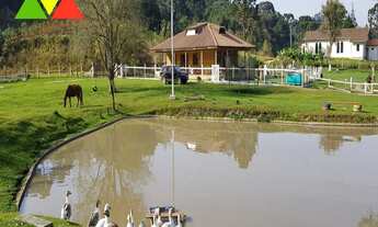 Imagem 2: CHÁCARA EM CAI DE BAIXO