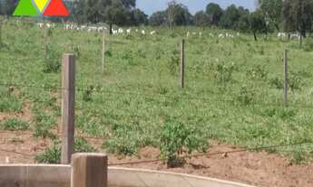 Imagem: FAZENDA RURAL em ALCINÓPOLIS - MS, ÁREA