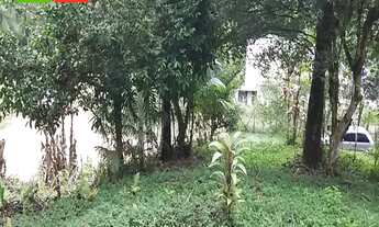 Imagem 2: CHÁCARA EM ANTONINA