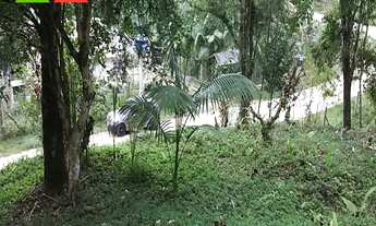 Imagem 6: CHÁCARA EM ANTONINA