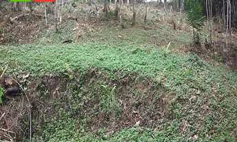 Imagem 5: CHÁCARA EM ANTONINA