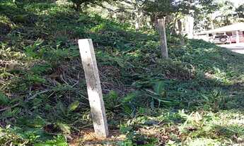 Imagem 3: CHÁCARA EM ANTONINA