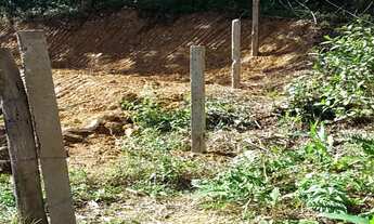 Imagem 4: CHÁCARA EM ANTONINA