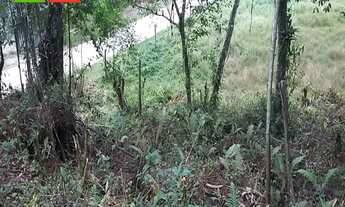 Imagem 7: CHÁCARA EM ANTONINA