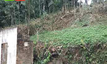 Imagem 1: CHÁCARA EM ANTONINA