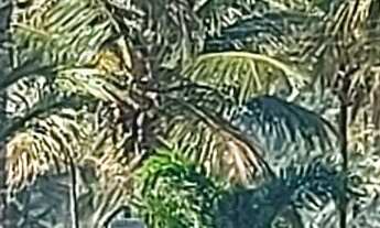 Imagem 4: APARTAMENTO RESIDENCIAL em BERTIOGA - SP, RIVIERA MÓDULO 07