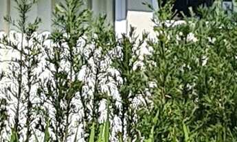 Imagem: CASA RESIDENCIAL em BERTIOGA - SP, RIVIERA