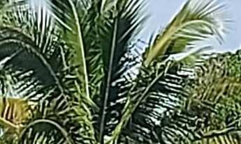 Imagem: APARTAMENTO RESIDENCIAL em BERTIOGA - SP