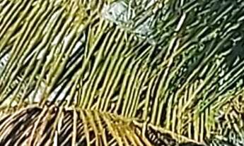 Imagem: APARTAMENTO RESIDENCIAL em BERTIOGA - SP