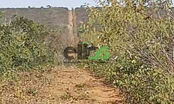 Imagem: Fazenda de Dupla Aptidão - AGRICULTURA