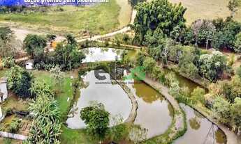 Imagem: Fazenda Dupla Aptidão -AGRICULTURA, PECUÁRIA