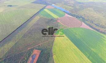 Imagem: Fazenda Dupla Aptidão - AGRICULTURA (LAVOURA/GRÃOS/SOJA)