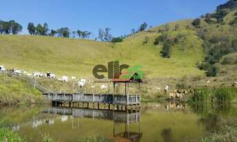 Imagem: Fazenda de Dupla Aptidão - PECUÁRIA e