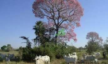 Imagem 3: Fazenda de PECUÁRIA, (COM JAZIDA DE CRISTAL), 61.453 hectares, à venda por R$ 123.000.000