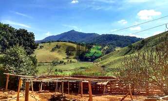 Imagem: Sitio - LAVOURA/CAFÉ/SUÍNO/PECUÁRIA