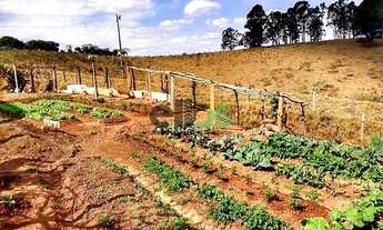 Imagem 4: Sitio - [LAVOURA/CAFÉ/SUÍNO/PECUÁRIA], com 10,37 Alqueires, à venda por R$ 1.415.000,00