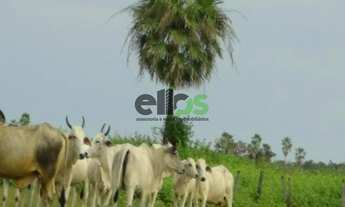 Imagem 4: Fazenda de PECUÁRIA, (COM JAZIDA DE CRISTAL), 61.453 hectares, à venda por R$ 123.000.000