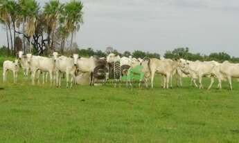 Imagem 2: Fazenda de PECUÁRIA, (COM JAZIDA DE CRISTAL), 61.453 hectares, à venda por R$ 123.000.000