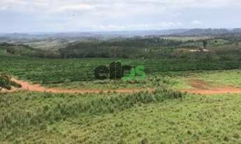 Imagem 2: Fazenda de Dupla Aptidão - AGRICULTURA CAFÉ, EUCALITPO e PECUÁRIA, 1.674 hectares, à venda