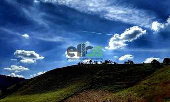 Imagem 2: Sitio - [LAVOURA/CAFÉ/SUÍNO/PECUÁRIA], com 10,37 Alqueires, à venda por R$ 1.415.000,00