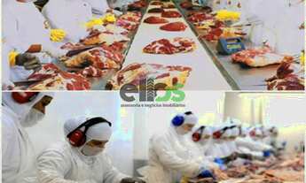 Imagem: Frigorífico de SUÍNO e BOVINO PORCO