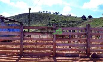 Imagem 6: Sitio - [LAVOURA/CAFÉ/SUÍNO/PECUÁRIA], com 10,37 Alqueires, à venda por R$ 1.415.000,00